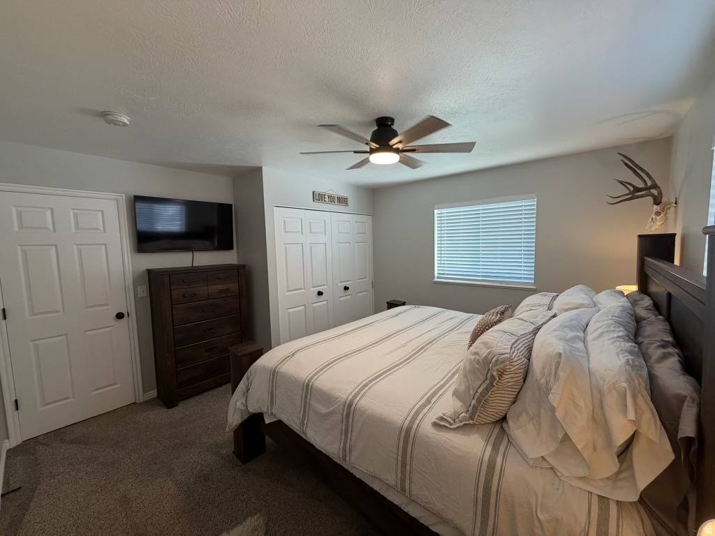YOUNG PROPERTY - Residential
