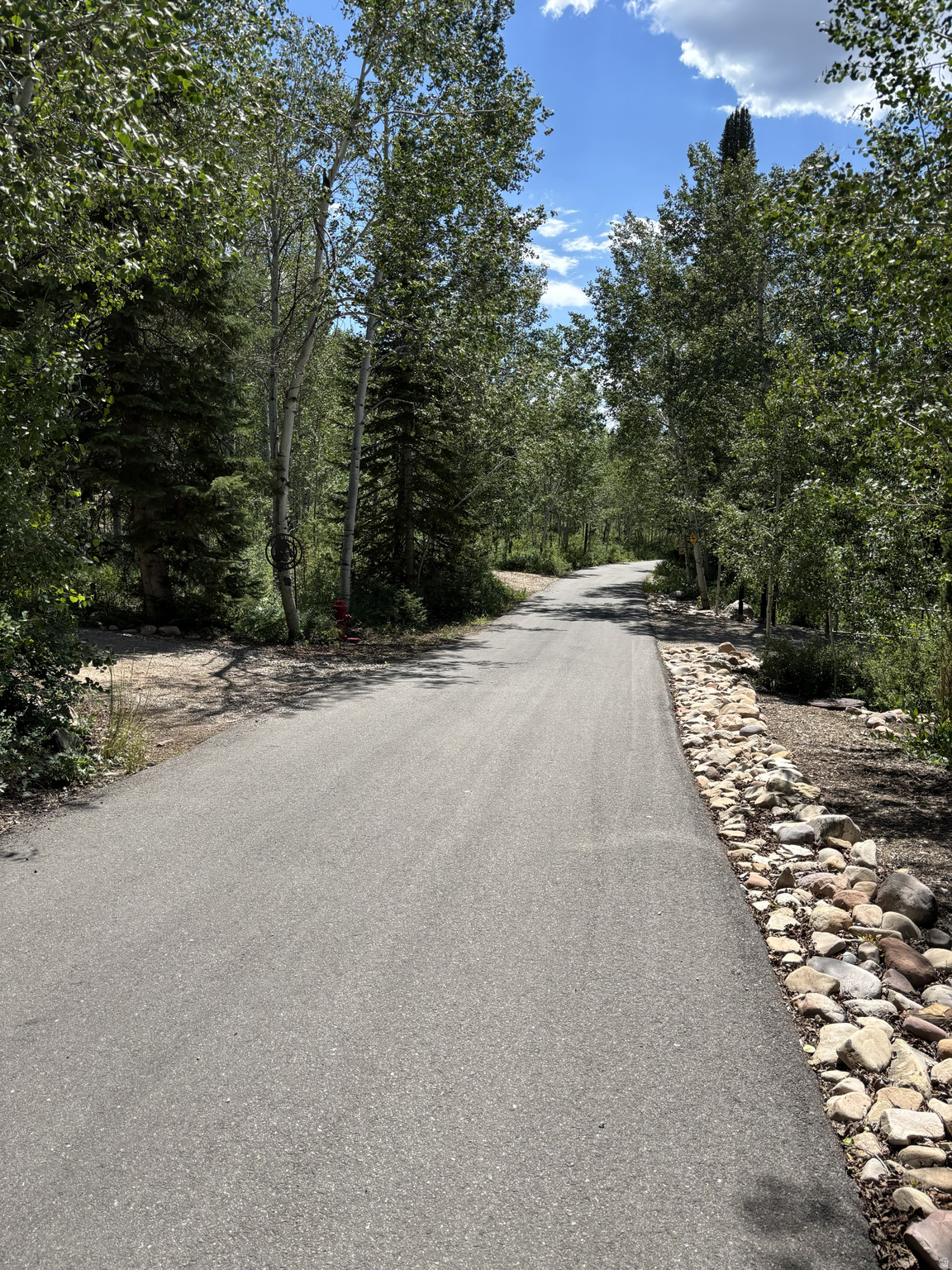 PINE MOUNTAIN NO.3 - Land