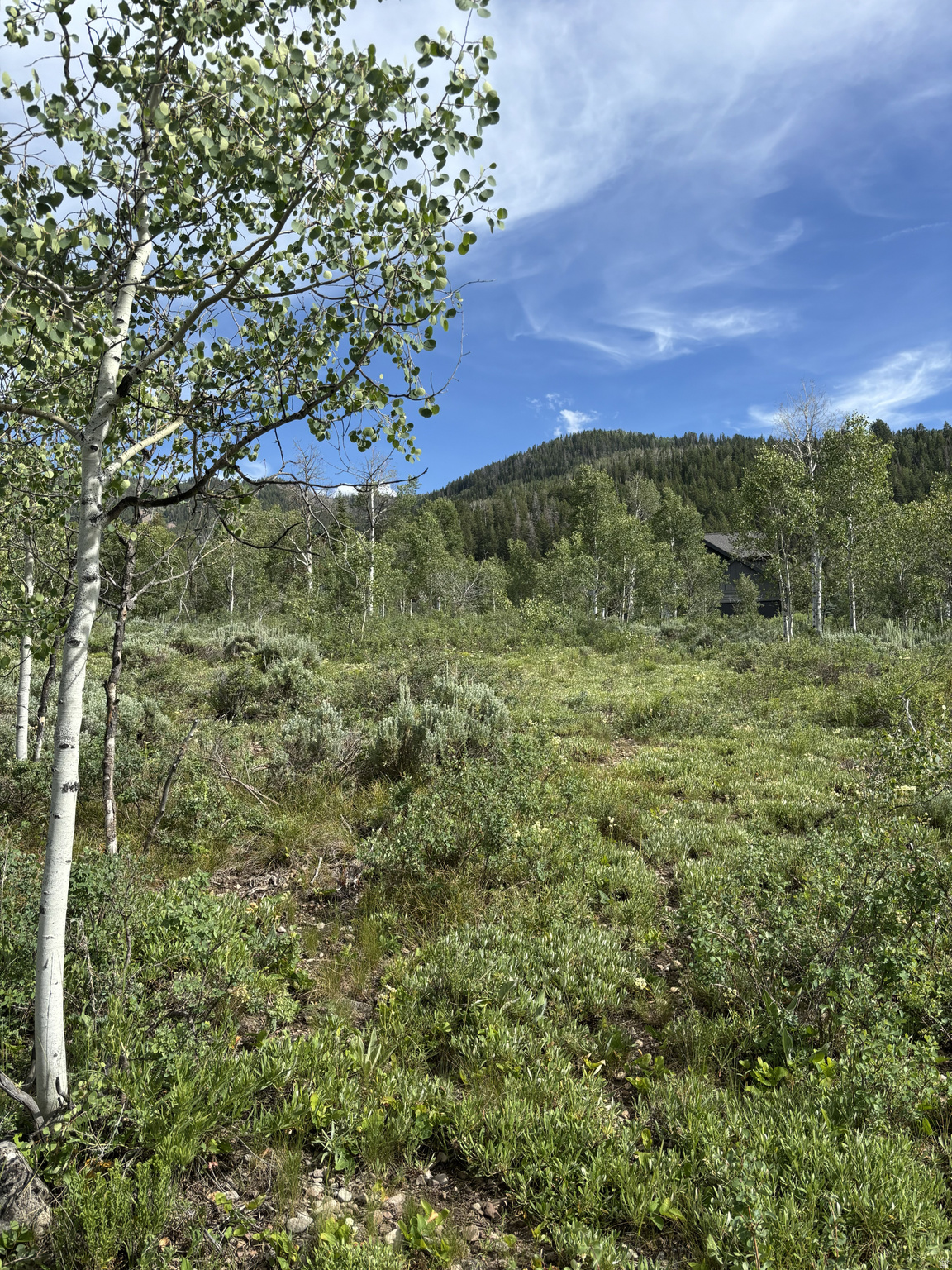 PINE MOUNTAIN NO.3 - Land