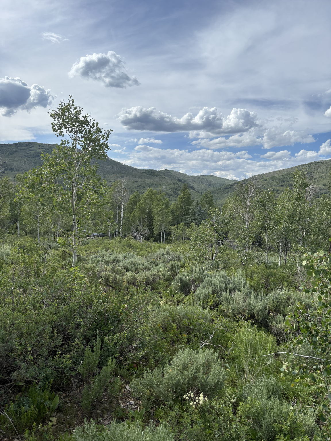 PINE MOUNTAIN NO.3 - Land