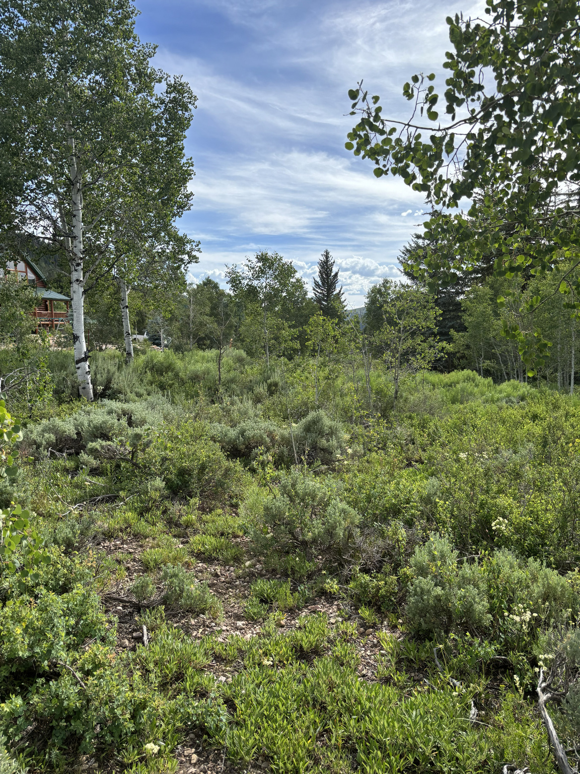 PINE MOUNTAIN NO.3 - Land