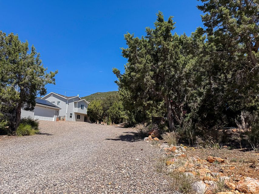 DIXIE DEER EST - Residential