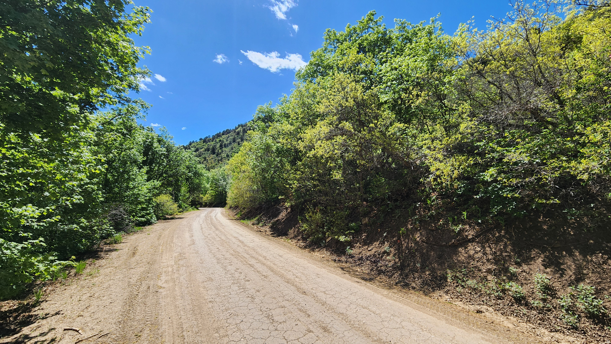If you have been trying to find land in the gated community of Skyline Mountain Resort, now is your chance. The developer is opening up to release a handful of lots for sale this year. Enjoy all the HOA has to offer, amazing golf course, pool, tennis court, basketball courts, plus RV park, & cabin rentals for your guests. This area has so many options for outdoor activities including hiking, camping, and four wheeling throughout the property.