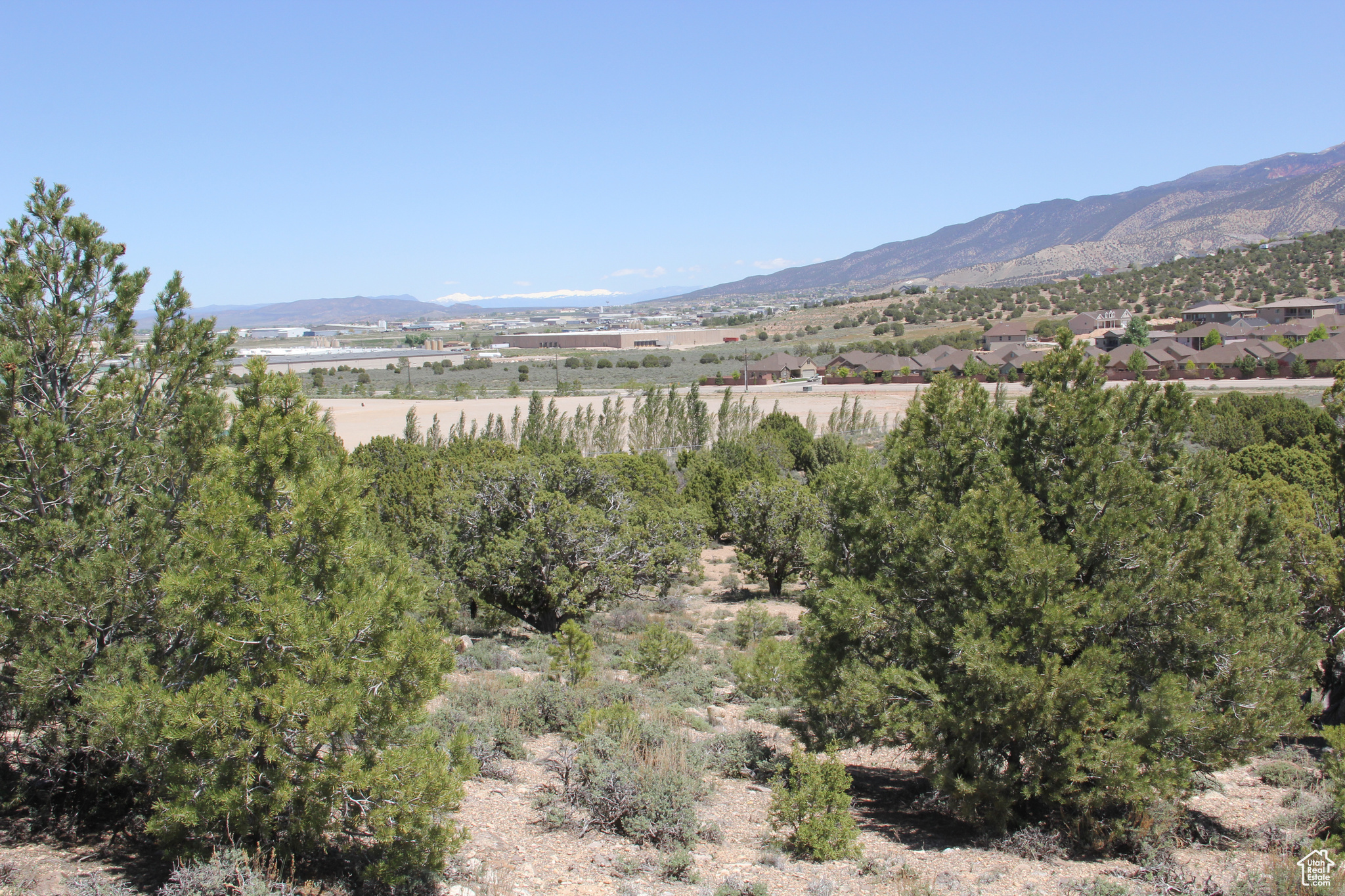 OLD SORREL - Land