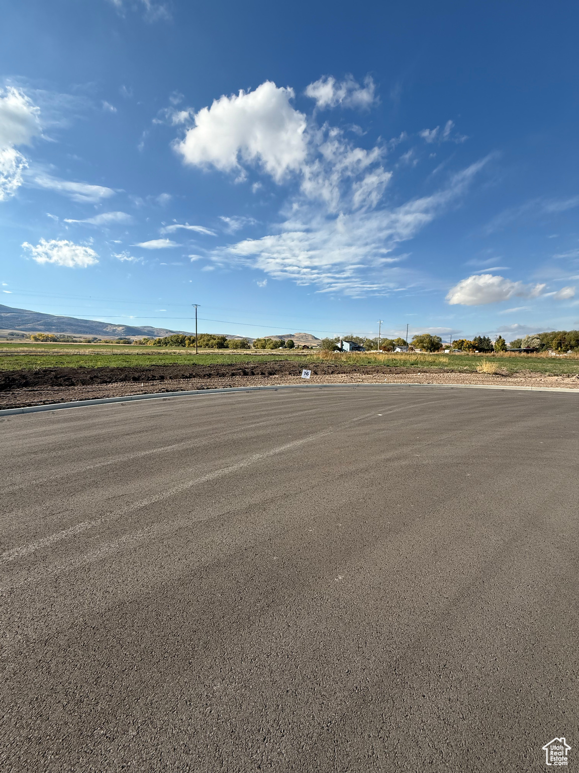 BLUEBERRY SPRINGS DEVELOPMENT LLC - Land