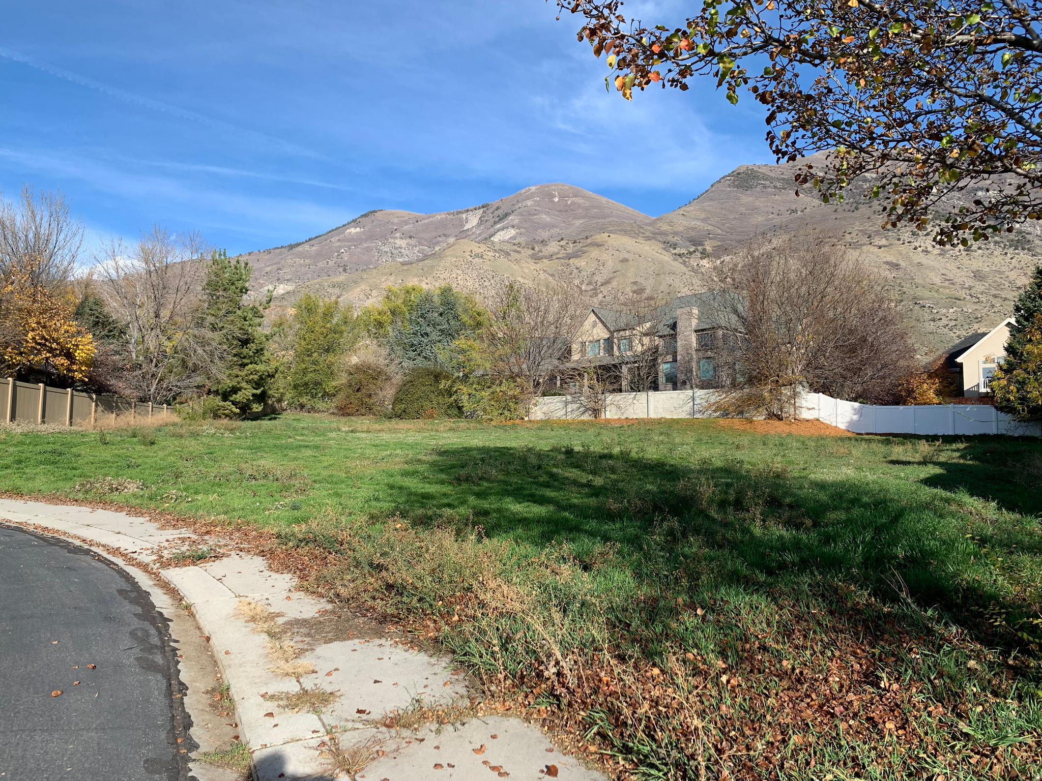 PINNACLE POINTE - Land
