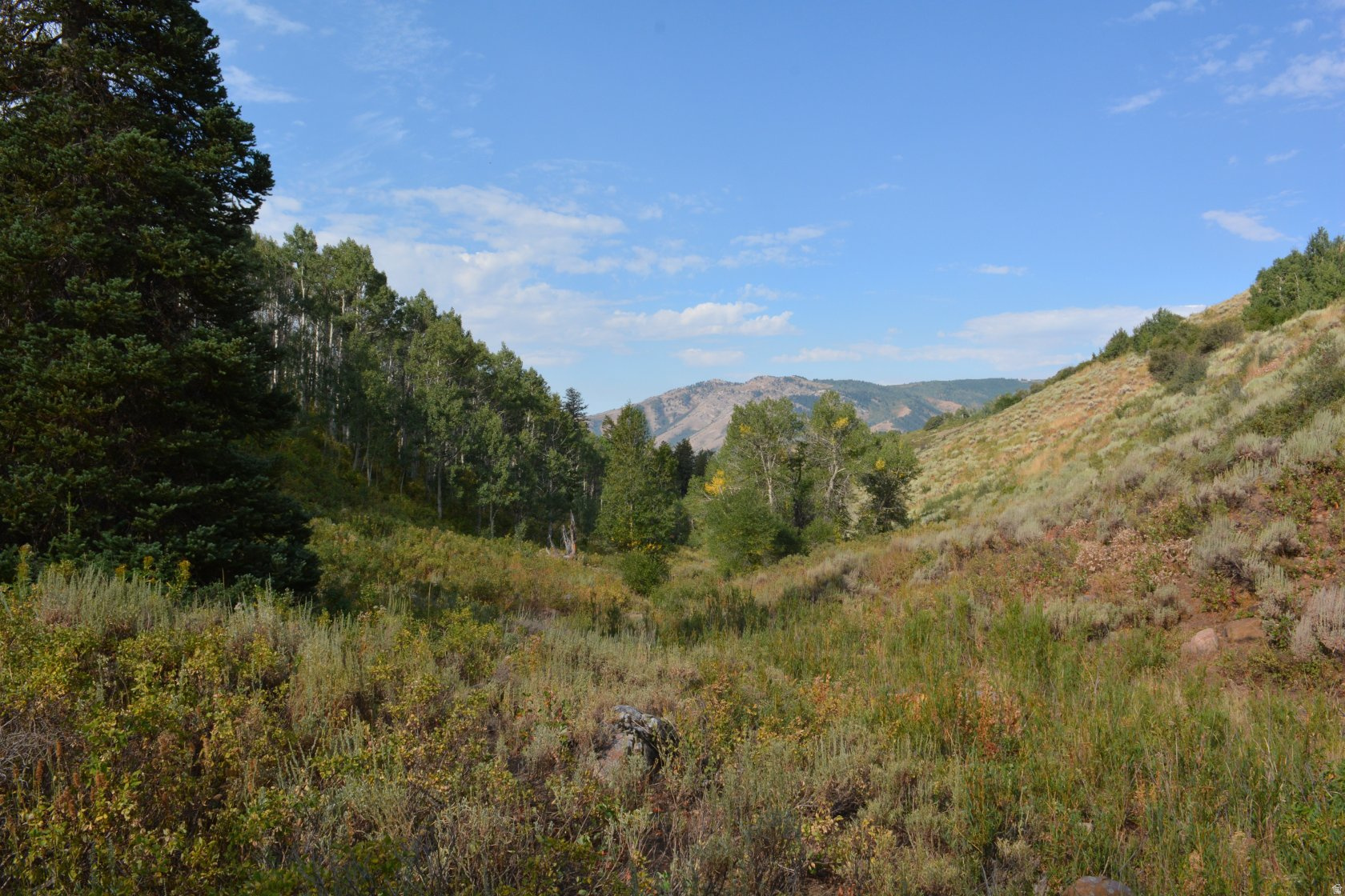 SUNRIDGE - Land