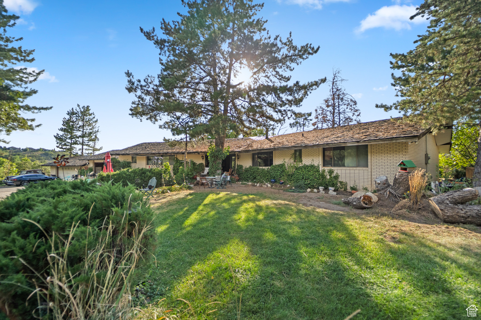 DIMPLE DELL - Residential