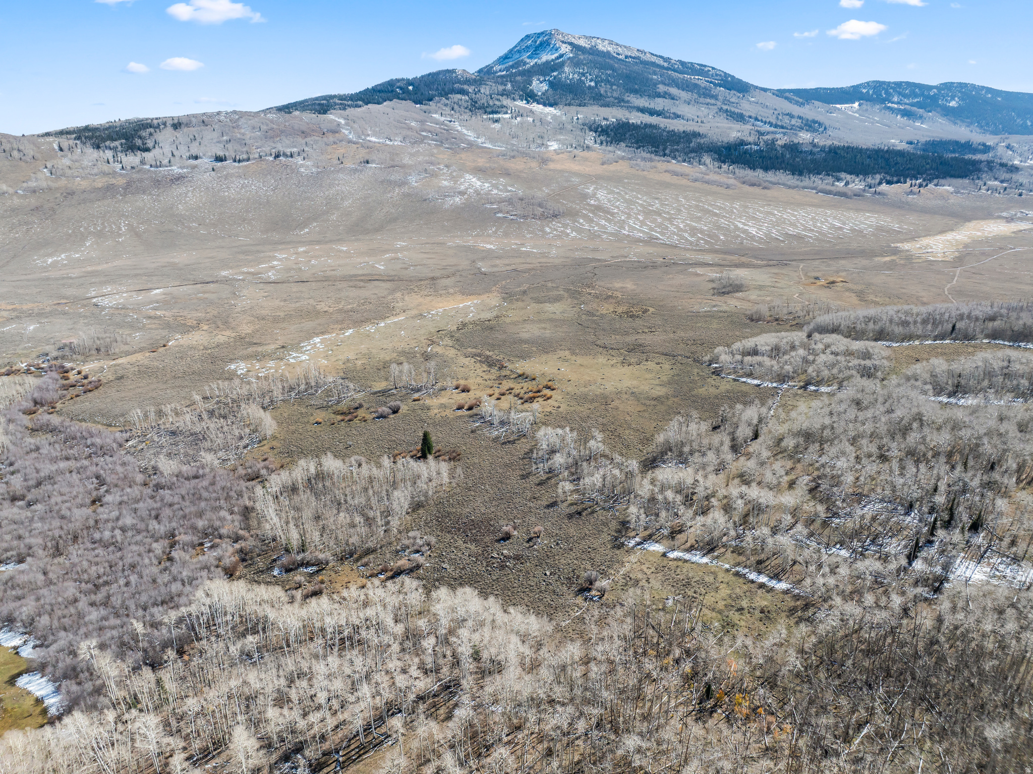 SHEEP VALLEY ESTATES SUBDIVISON - Land