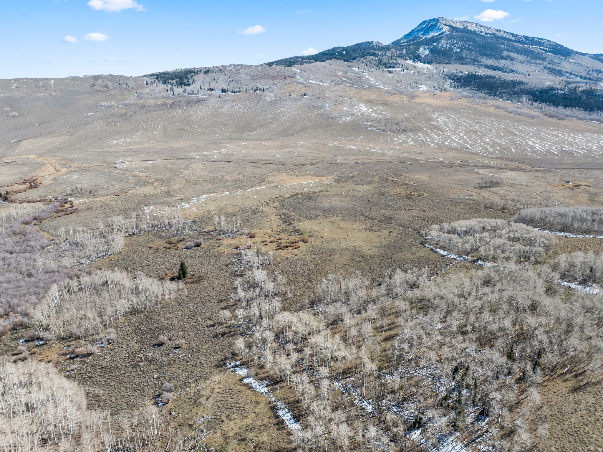 SHEEP VALLEY ESTATES SUBDIVISON - Land