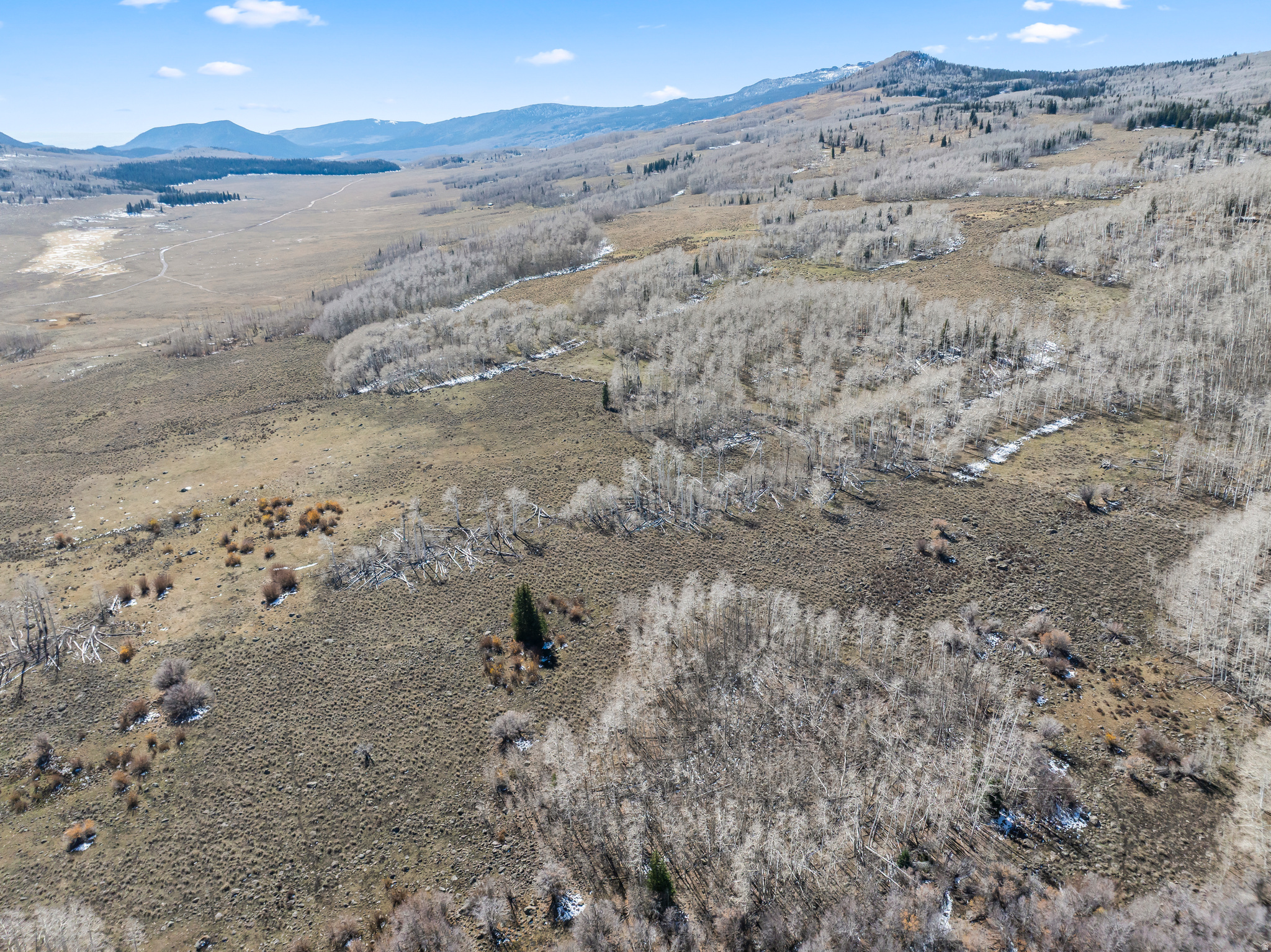 SHEEP VALLEY ESTATES SUBDIVISON - Land