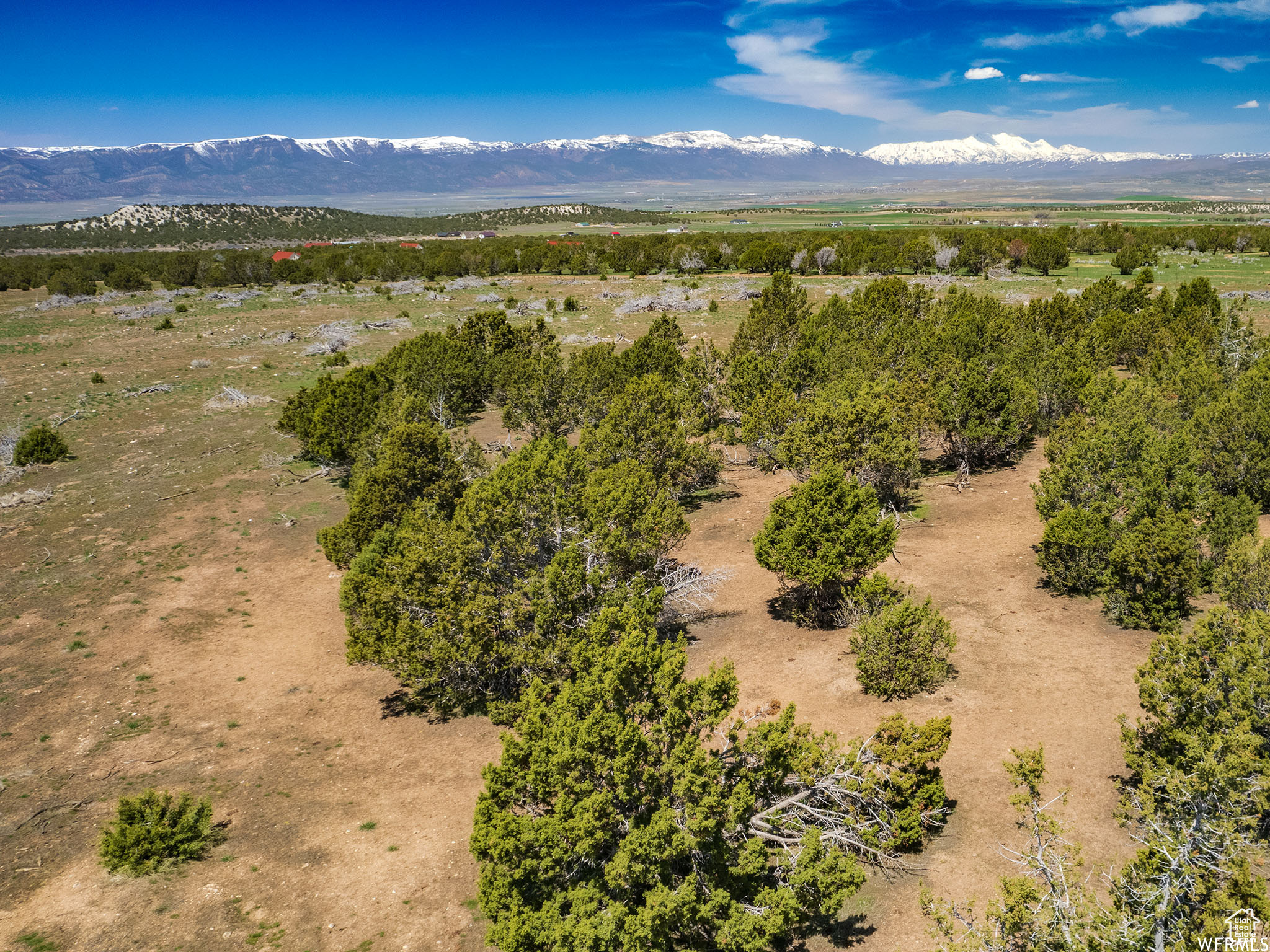 MILL RACE RANCH - Land