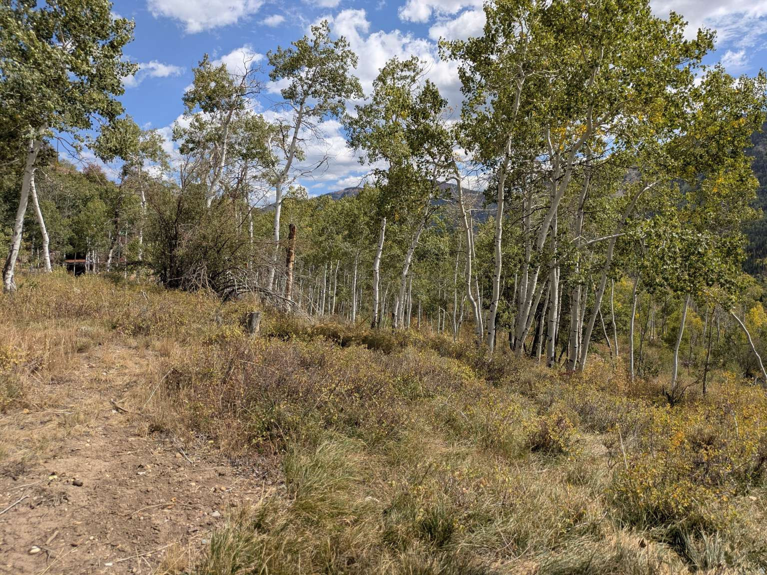 LITTLE DIPPER HILLS SUBDIVISION - Residential