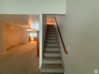 FAIRFIELD FARMS - Residential