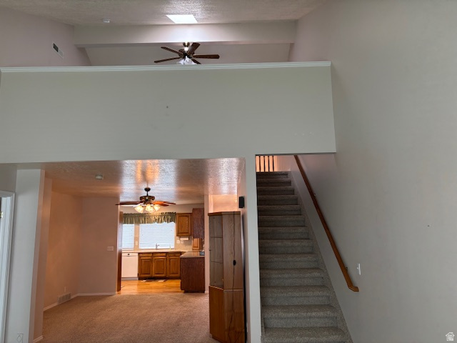 FAIRFIELD FARMS - Residential