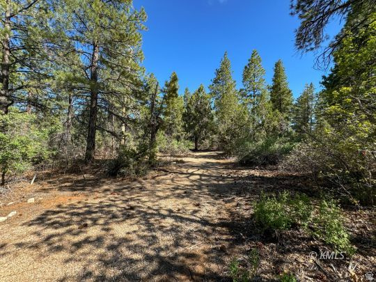 LITTLE PONDEROSA - Land