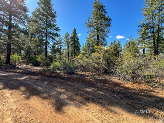 LITTLE PONDEROSA - Land