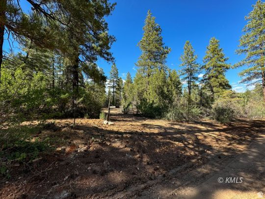 LITTLE PONDEROSA - Land