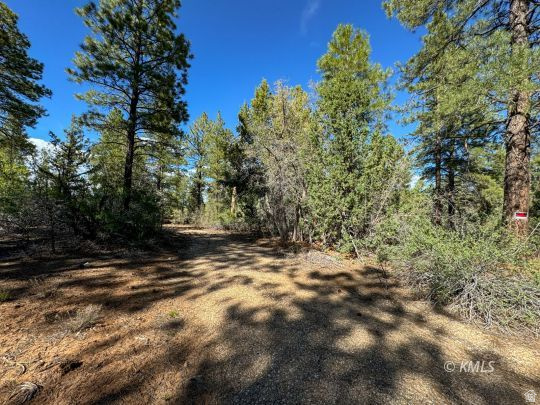 LITTLE PONDEROSA - Land