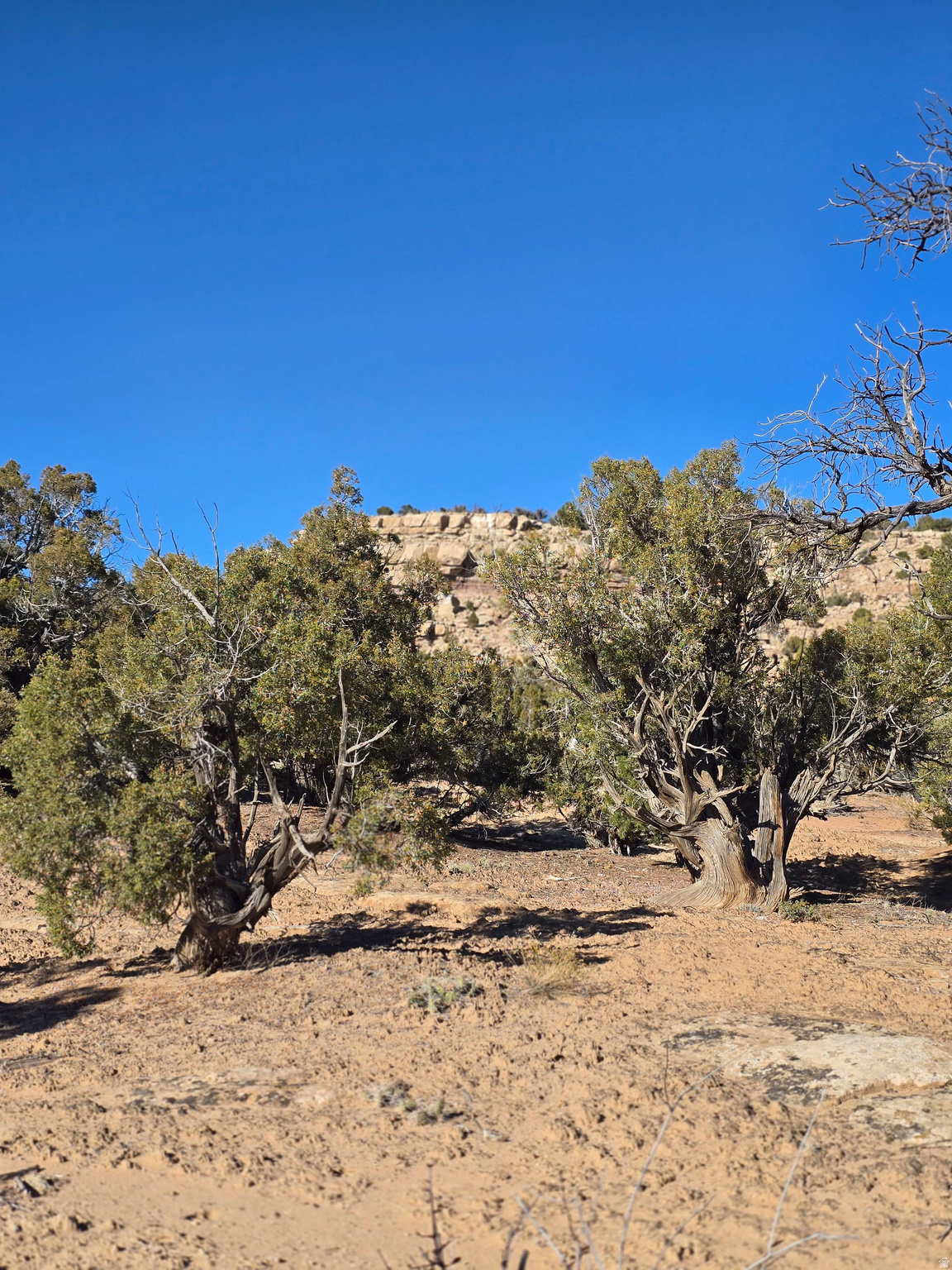 Enjoy lake views and outdoor adventure from this 5-acre parcel on the northwest side of Starvation Reservoir. Just 15-20 minutes from Duchesne City, this property offers power nearby and water rights available for a private well (at buyer's expense). Close to boating, fishing, kayaking, and ATV trails, with stores, restaurants, and gas in town. Ideal for recreation, building a cabin or home, or investment. Buyer to verify access, utilities, and water rights availability.