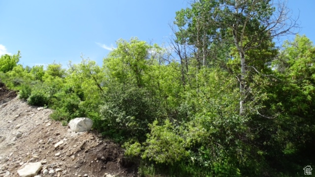 TIMBER LAKES - Land