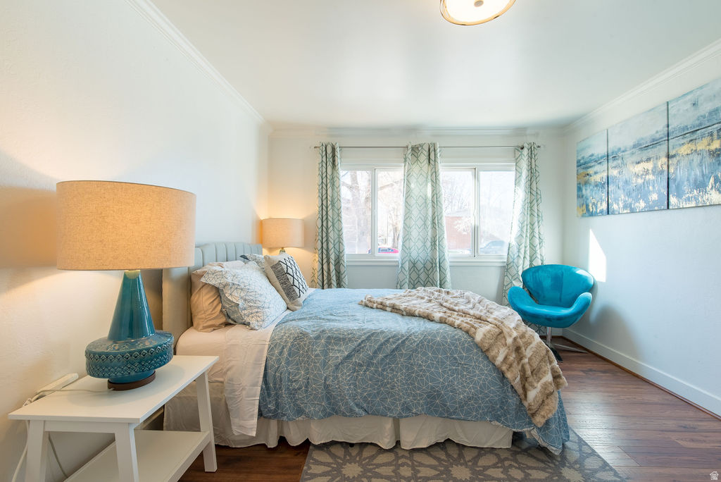 FOREST DALE - Residential