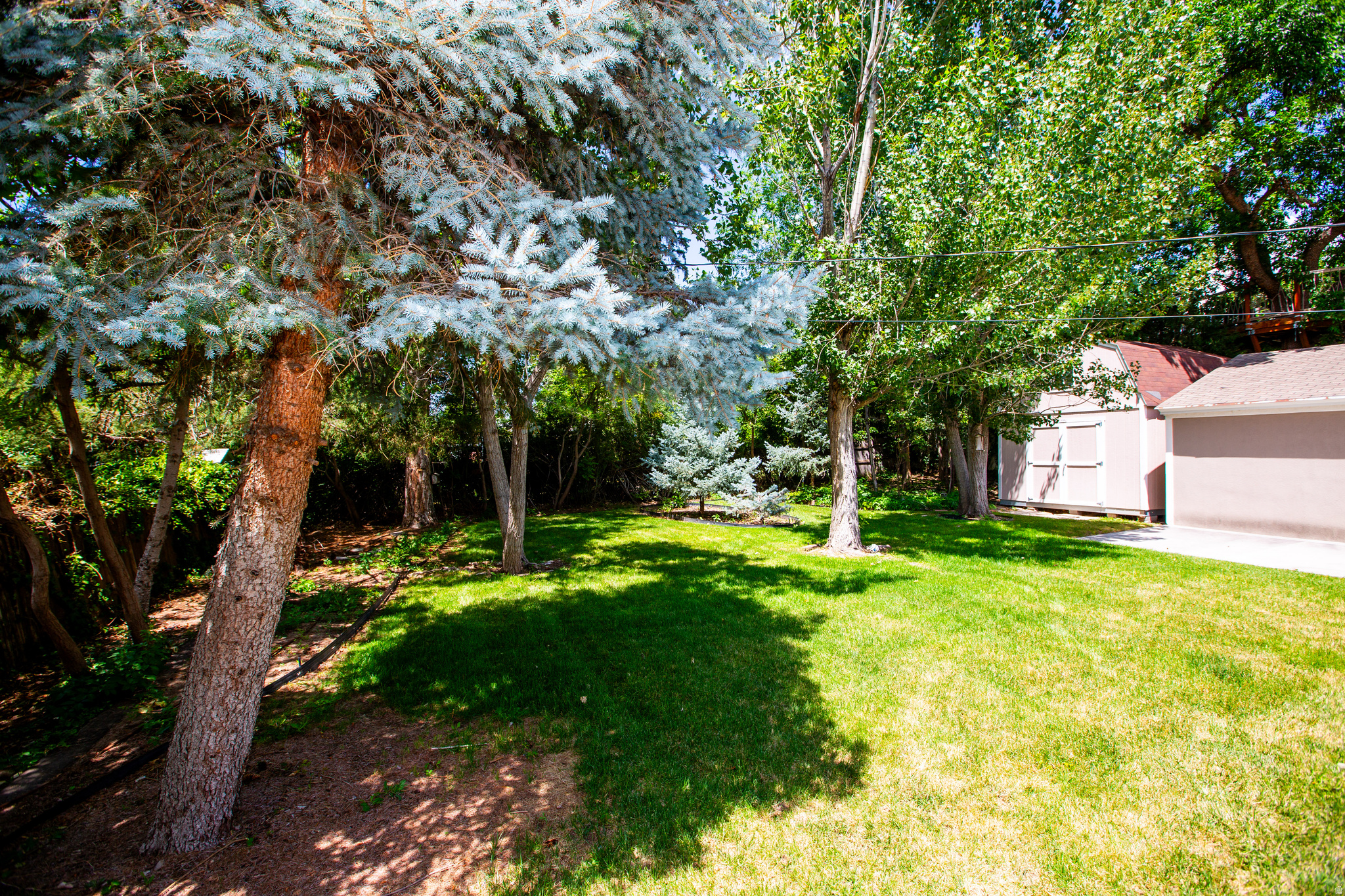 SUNNYSIDE HEIGHTS - Residential