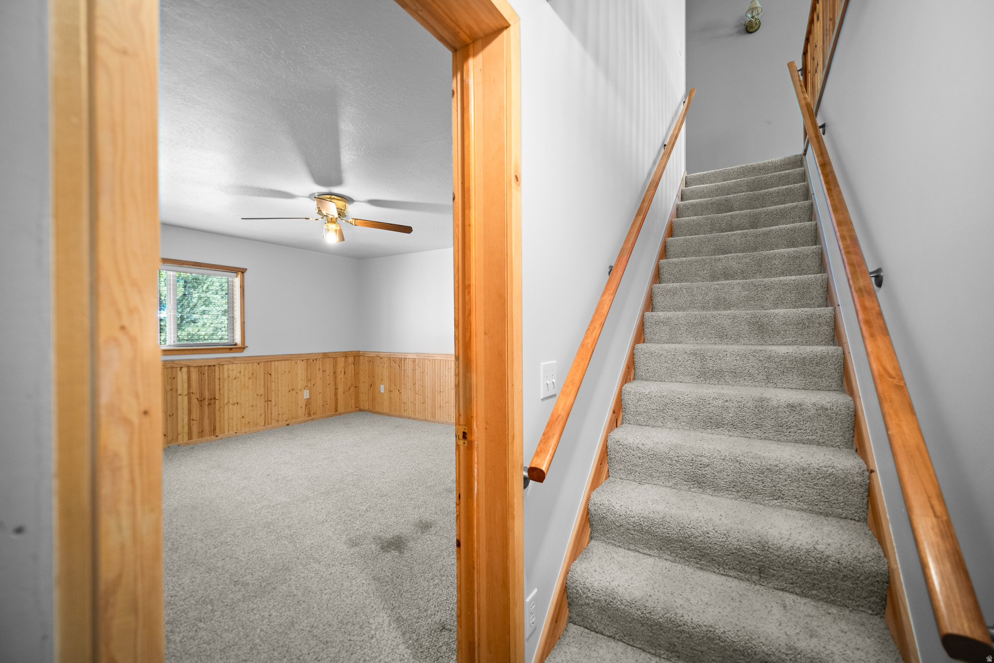 PINESTEAD 1 - Residential