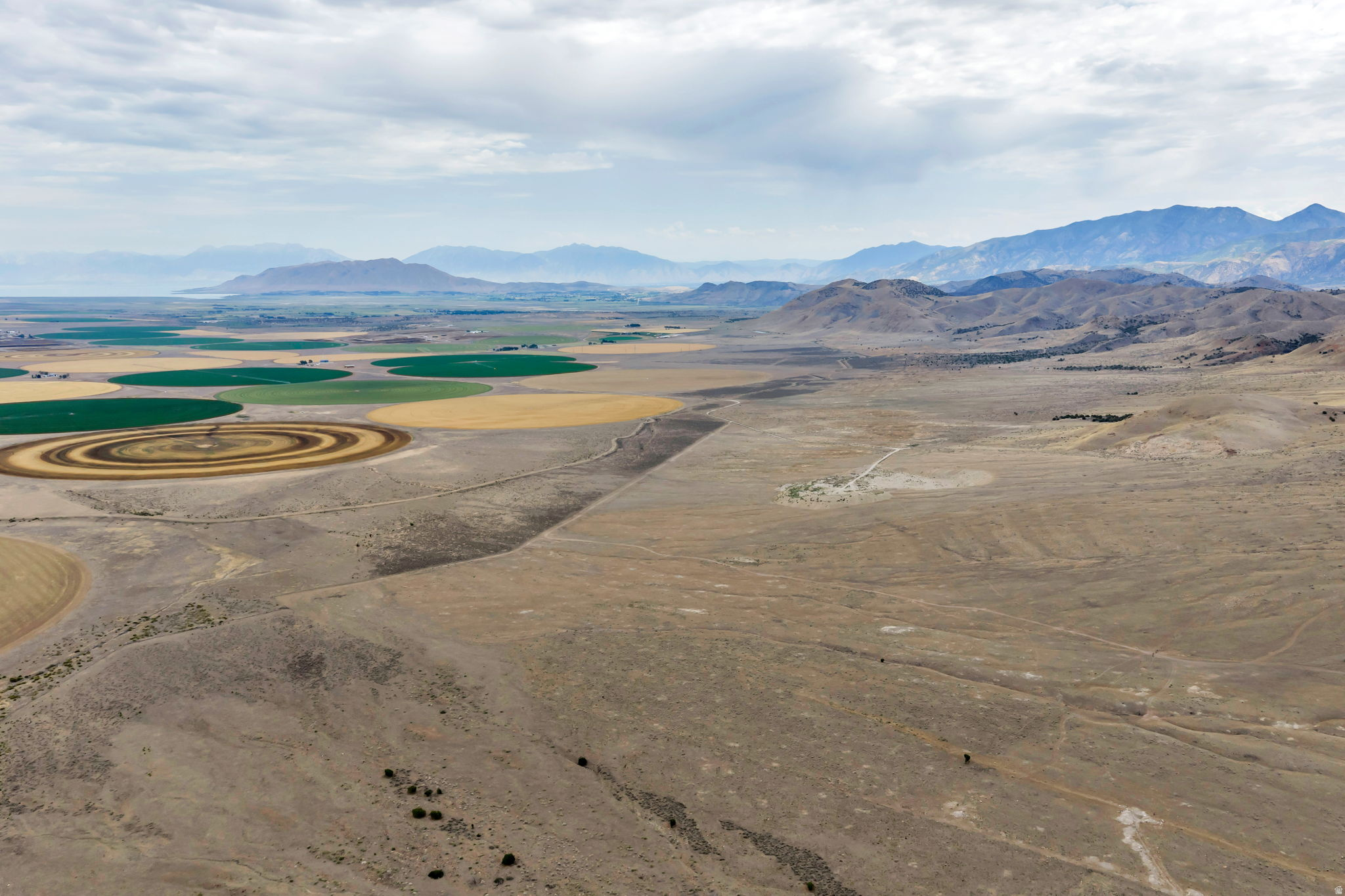 ELBERTA FOOTHILL RANCHES - Land