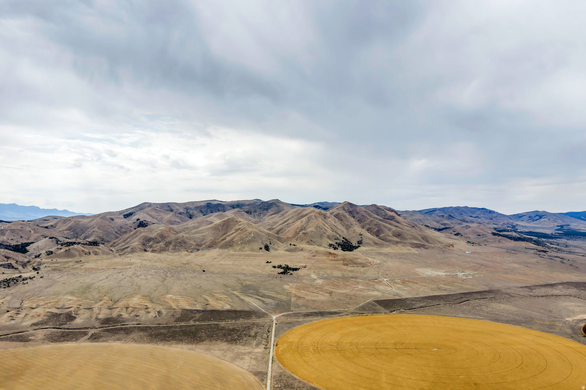 ELBERTA FOOTHILL RANCHES - Land