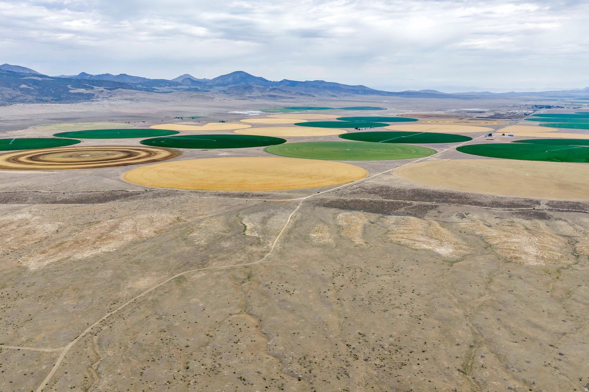 ELBERTA FOOTHILL RANCHES - Land