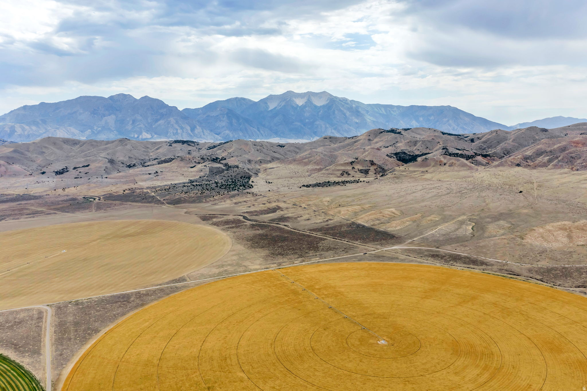 ELBERTA FOOTHILL RANCHES - Land