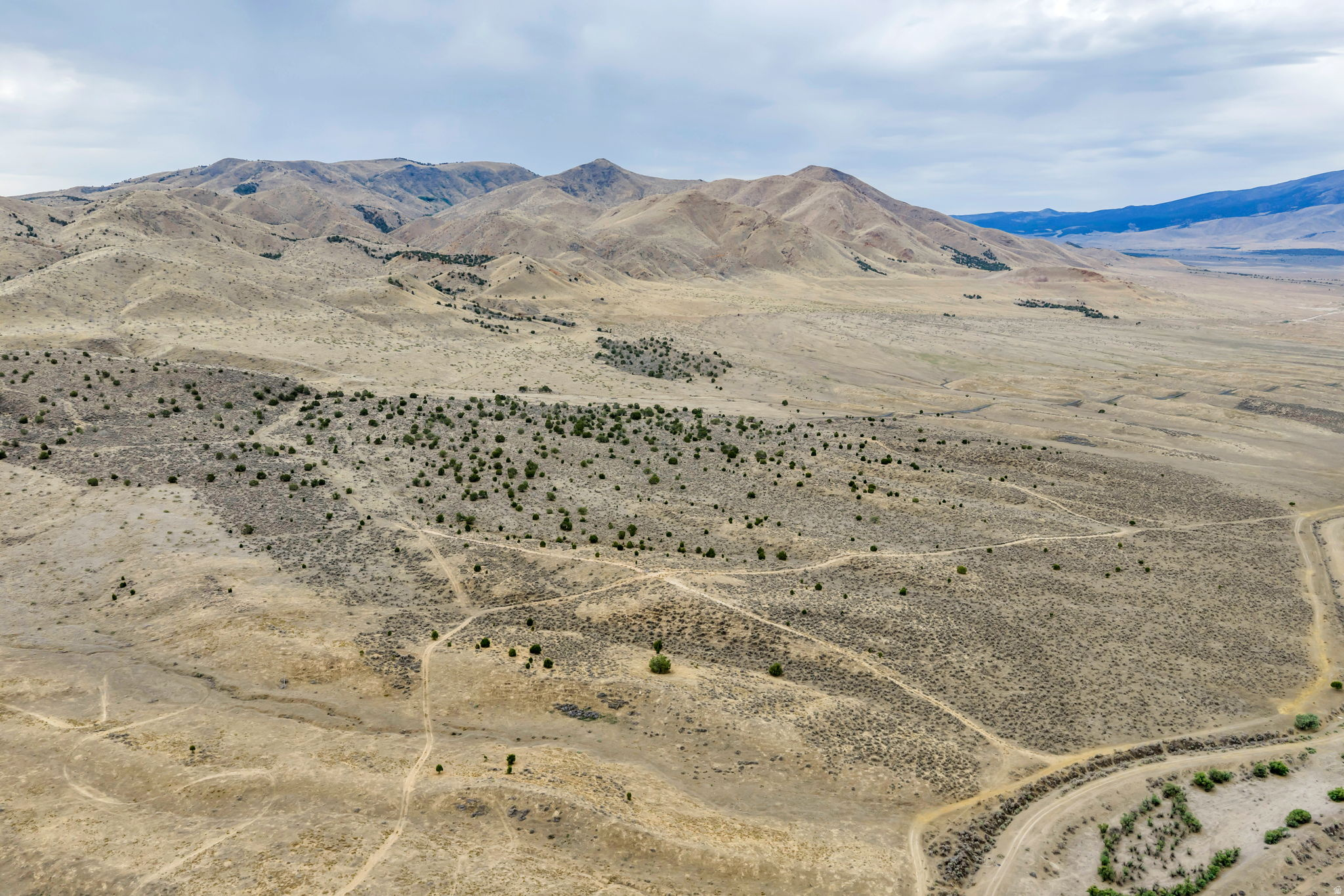 ELBERTA FOOTHILL RANCHES - Land