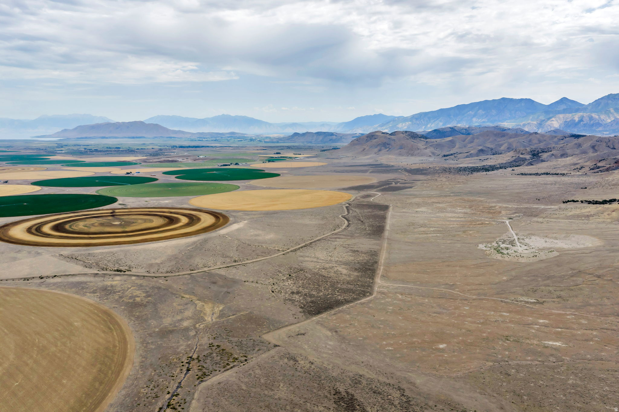 ELBERTA FOOTHILL RANCHES - Land