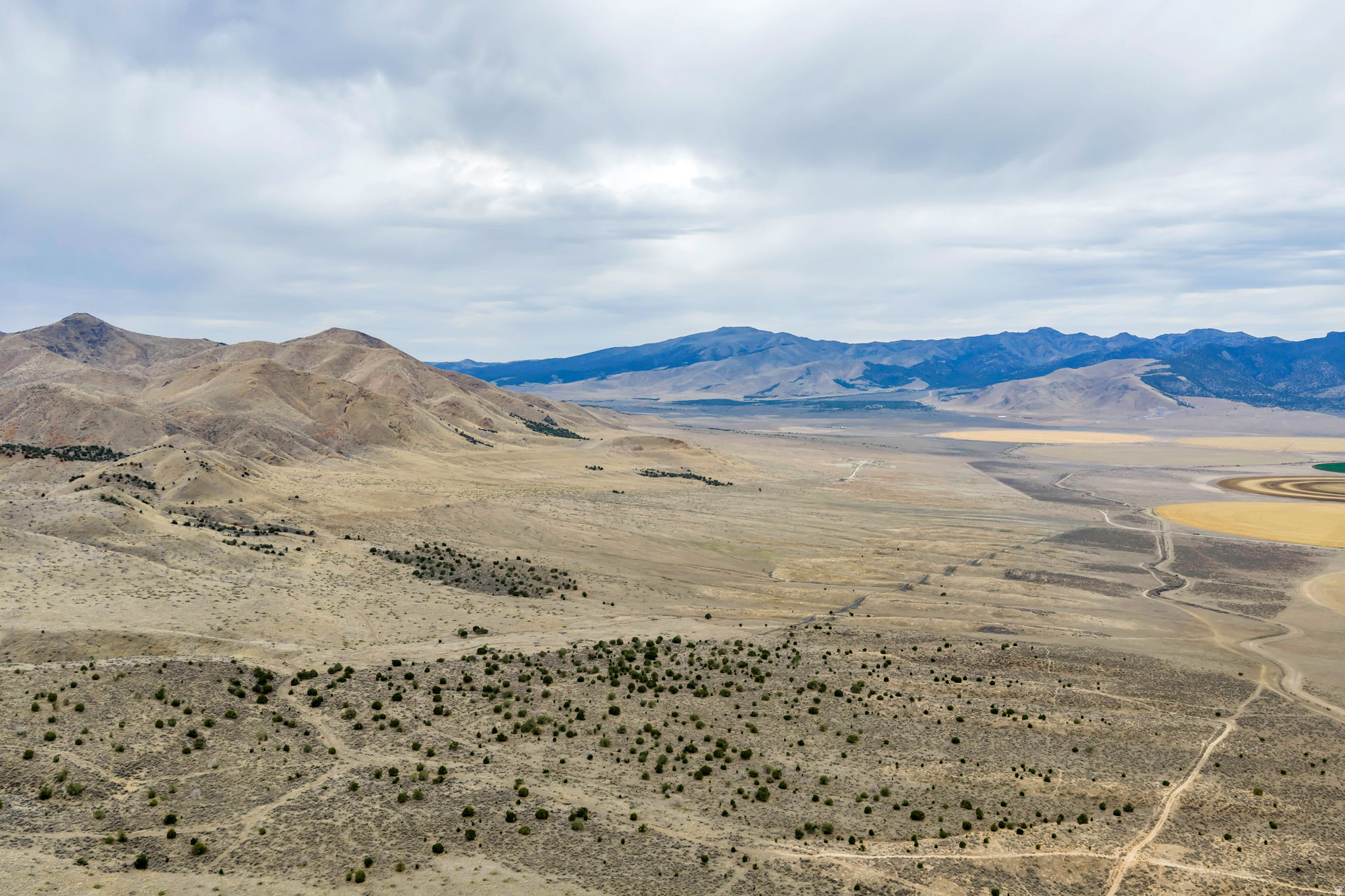 ELBERTA FOOTHILL RANCHES - Land
