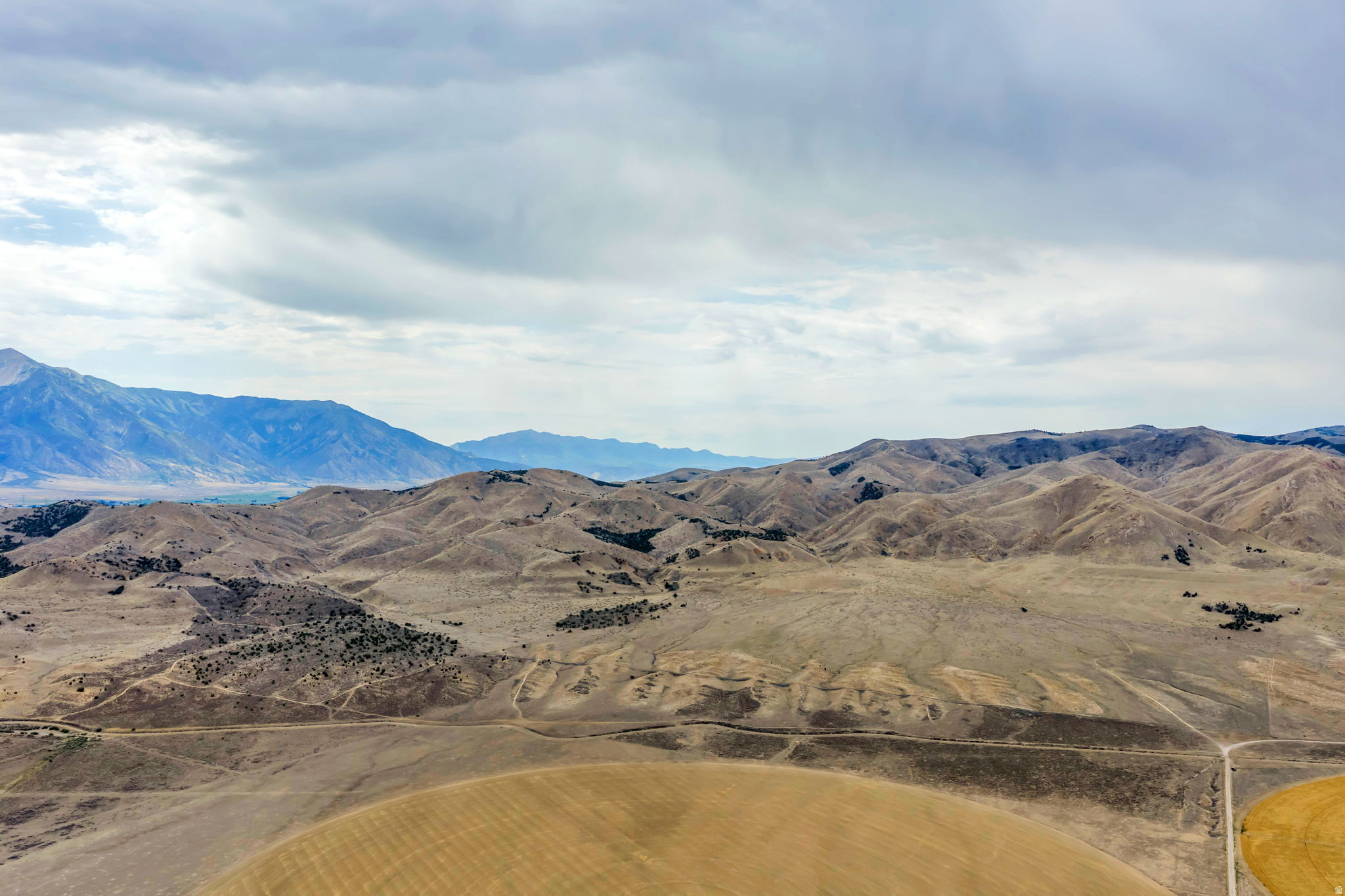 ELBERTA FOOTHILL RANCHES - Land