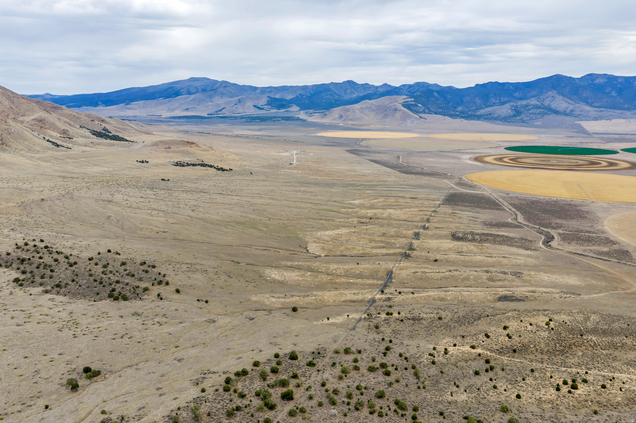 ELBERTA FOOTHILL RANCHES - Land