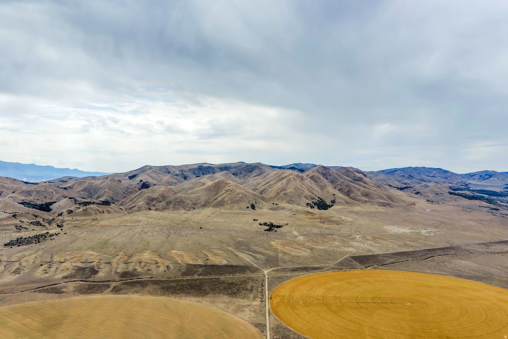 ELBERTA FOOTHILL RANCHES - Land