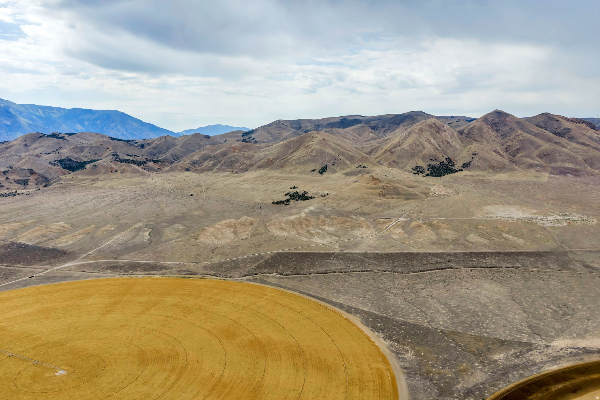 ELBERTA FOOTHILL RANCHES - Land