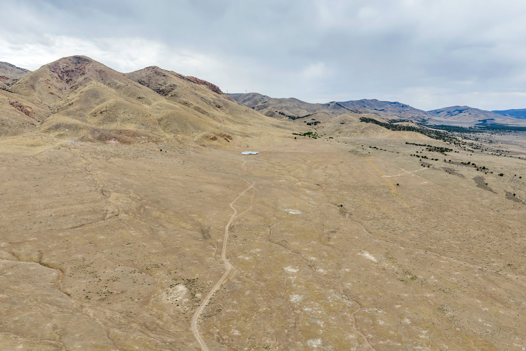 ELBERTA FOOTHILL RANCHES - Land
