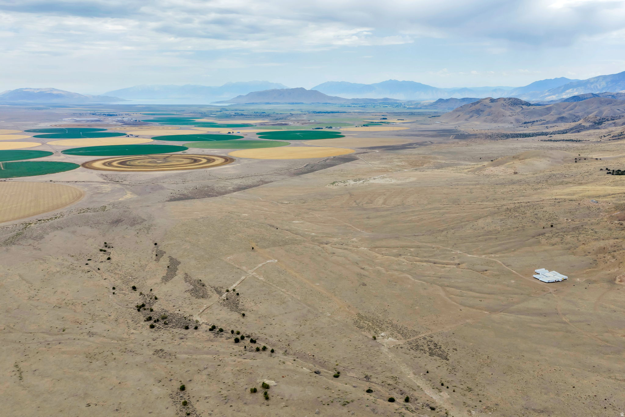 ELBERTA FOOTHILL RANCHES - Land