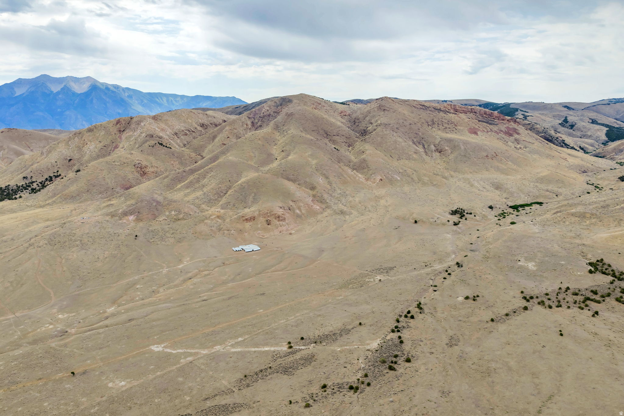 ELBERTA FOOTHILL RANCHES - Land