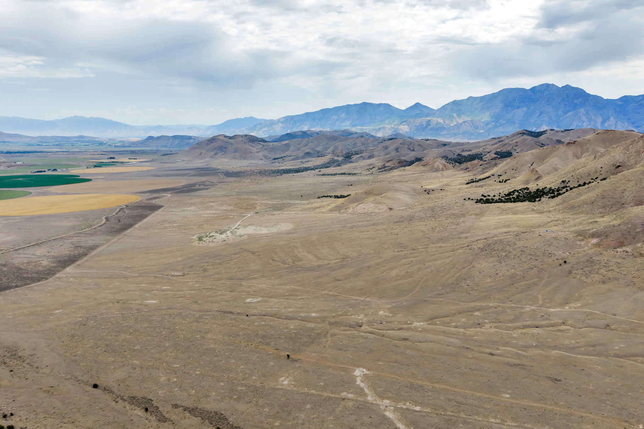 ELBERTA FOOTHILL RANCHES - Land