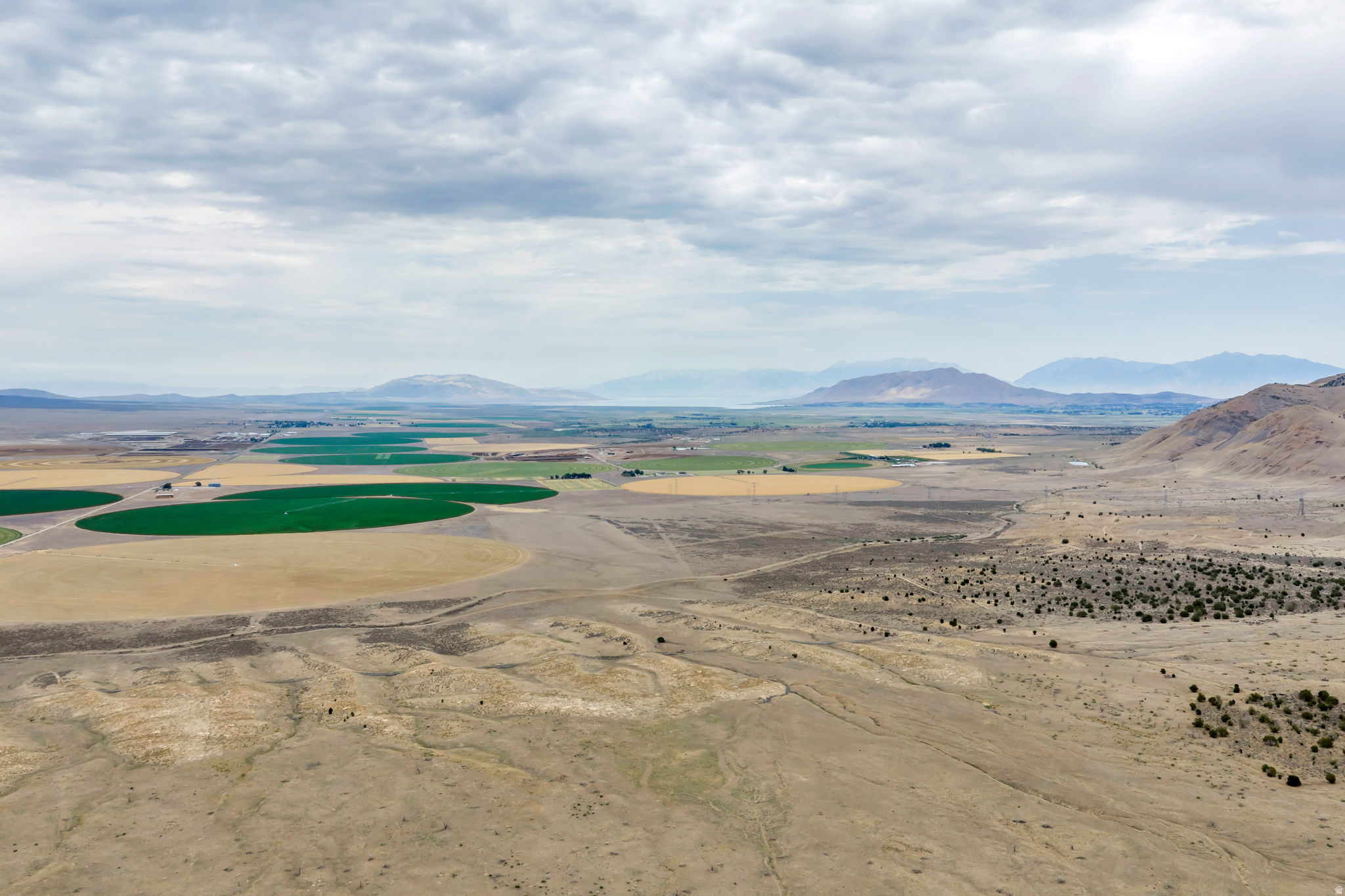 ELBERTA FOOTHILL RANCHES - Land
