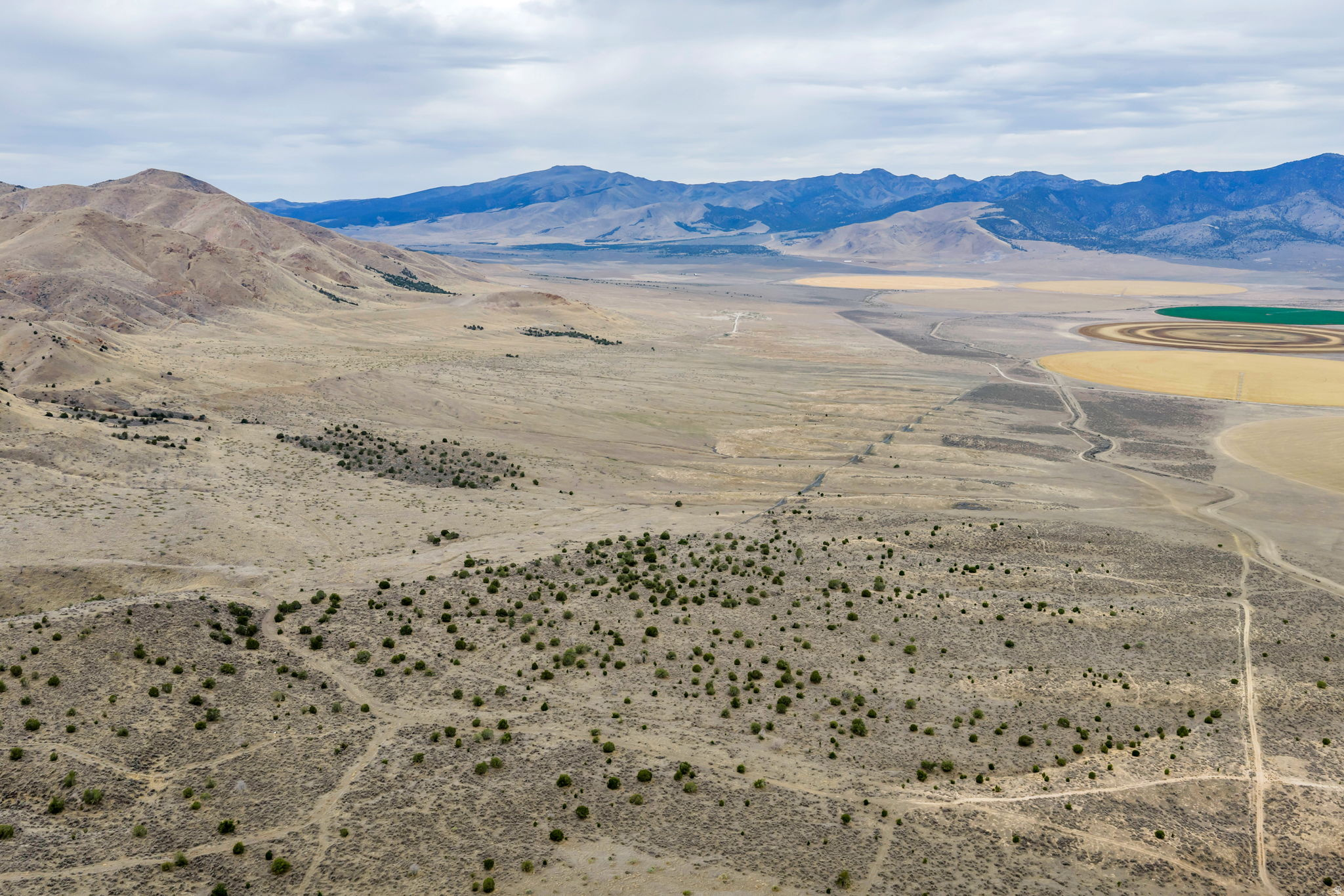 ELBERTA FOOTHILL RANCHES - Land