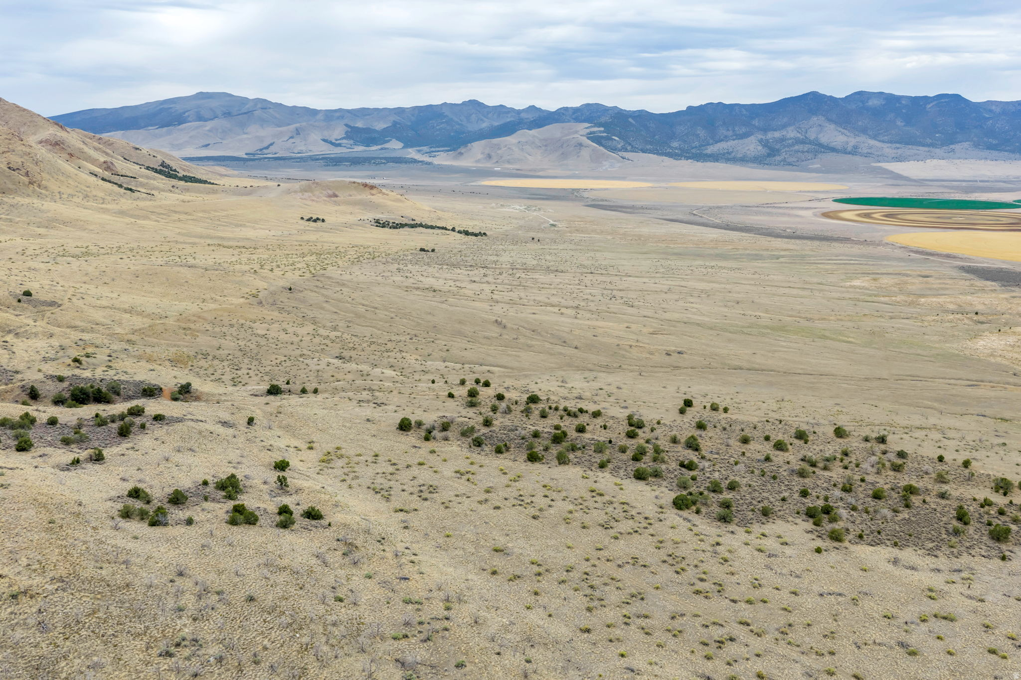 ELBERTA FOOTHILL RANCHES - Land