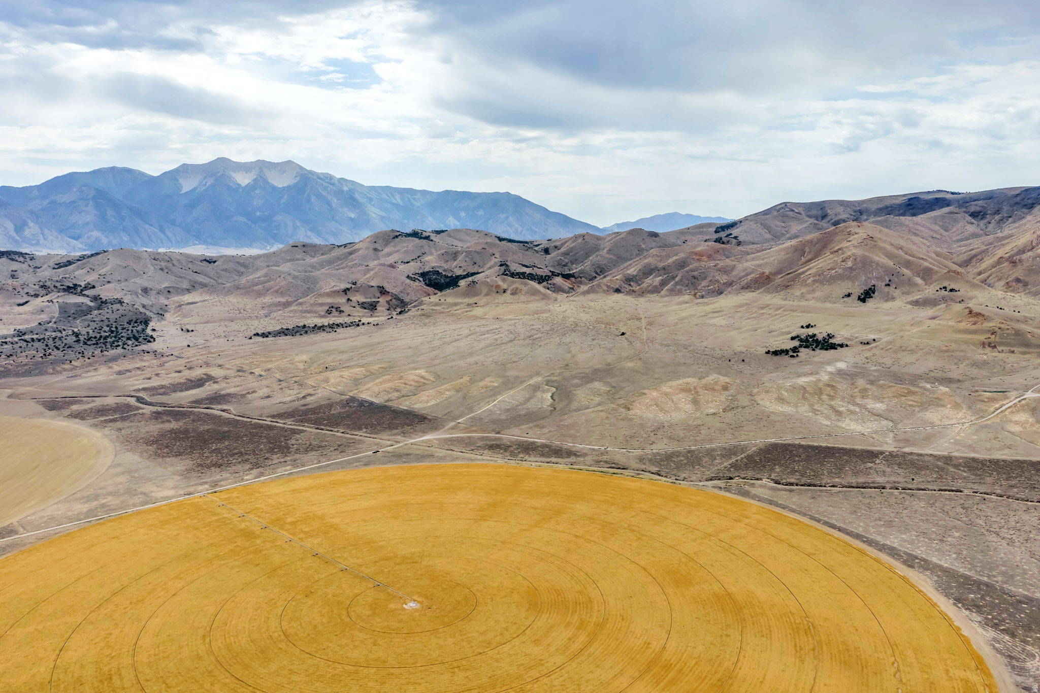 ELBERTA FOOTHILL RANCHES - Land