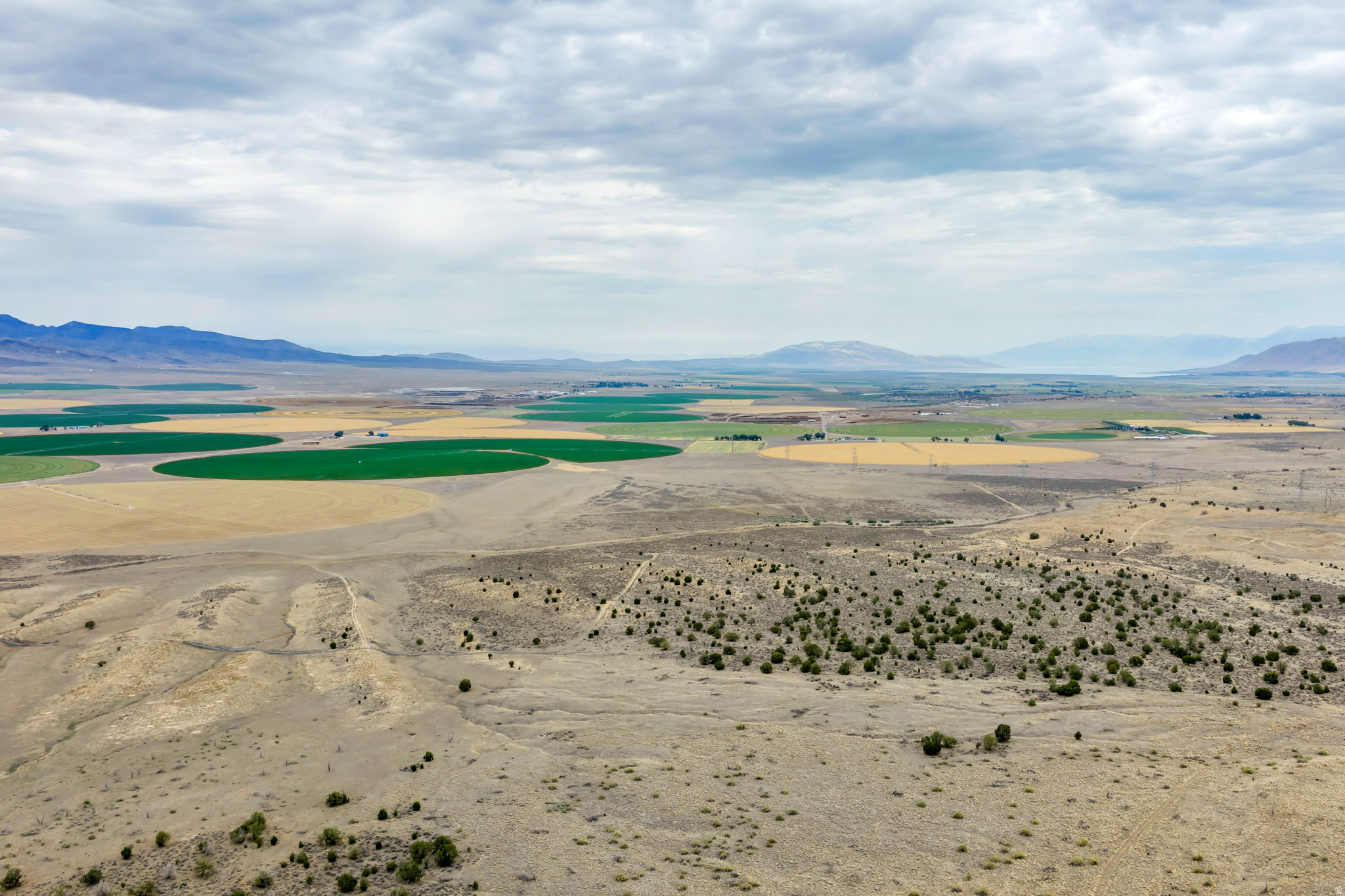 ELBERTA FOOTHILL RANCHES - Land
