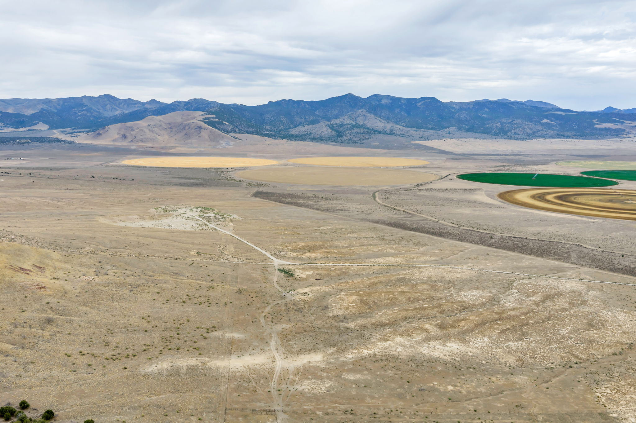 ELBERTA FOOTHILL RANCHES - Land