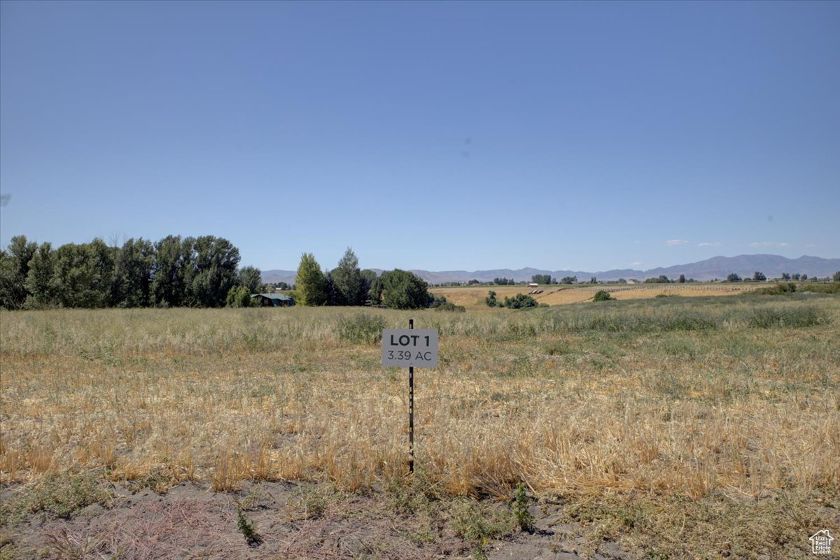 CUB RIVER ESTATES - Land